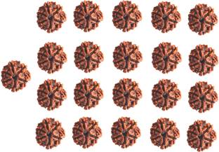 भुवार 6 mukhi rudraksha 21 pcs set with hole Nepal beads शेल