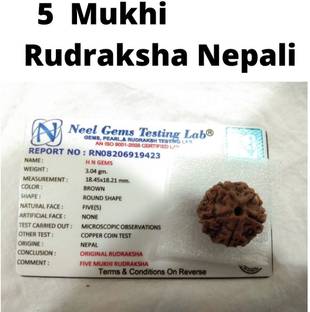 MUKTIRUDRRA FIVE 5 MUKHI RUDRAKSHA (CERTIFIED AND NEPAL ORIGIN) Wood Pendant