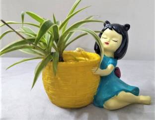 karari small cute basket girl succulent resin planter Plant Container Set Decorative Showpiece  -  8 cm