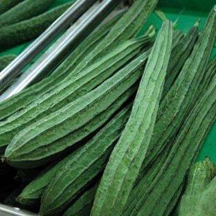 VibeX Peechinga Seeds for Planting | Ridge Gourd[10 Gms, 50 Seeds] Seed