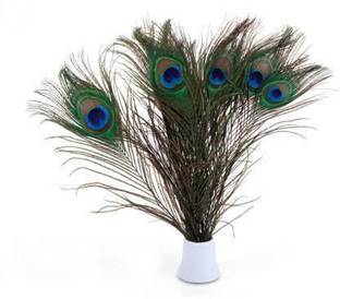 Red Crush Pack of 15 Decorative Feathers