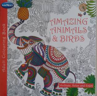 Navneet Adult Colouring Book