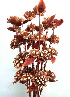 Palesaa Brown Woody Dry Handmade Flower Multicolor Cosmos Artificial Flower