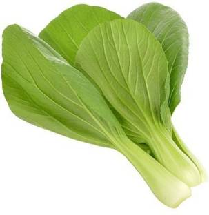 Paudha Pak Choi / Bok choy Seed
