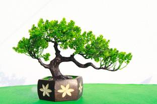 zonezer artificial green plant for home decoration with wood pot .its hight 20cm. beautifull table plant like real plant. plant for living room set of 1. mini size tree Bonsai Wild Artificial Plant  with Pot