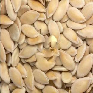 LRYS Natural Hybrid Kakri / Long Melon Seed- 140 Seed