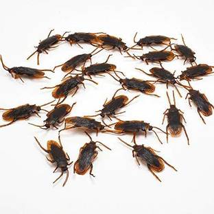 Hetkrishi Set of 25 Fake Cockroach Practical Jokes Prank Toys Gag Toy