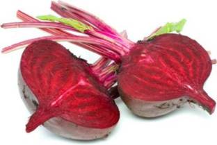 YOUNG STAR CHAKUNDAR (BEET ROOT) Seed