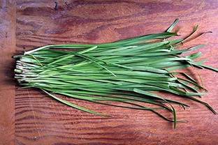 green paradise Garlic Chives Seed