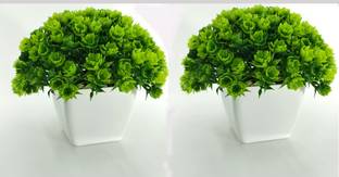 RESILIENCE Realistic Artificial Bonsai Plant with Plastic Pot Wild Tree For Home cum office Decor Bonsai Wild Artificial Plant  with Pot