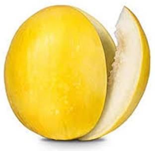 Sjeme Yellow Kharbuj / Musk Melon Seed- 300 Seed