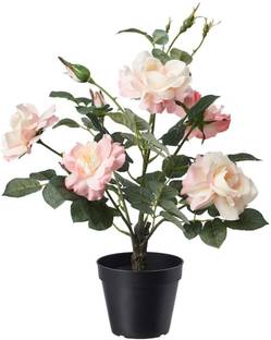 IKEA Artificial Plant  with Pot