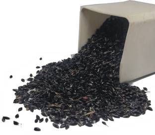 PRADHAM SEEDS FODDER GRASS Seed