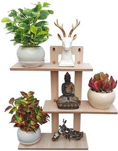 7CR 3 in 1 LRL Shelf Wooden Wall Shelf