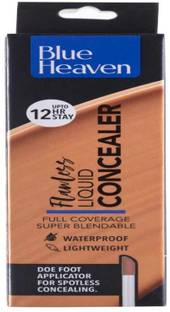 BLUE HEAVEN Photo Perfect Full Coverage  Concealer