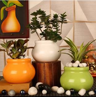 OriginalCeramics Plant Container Set