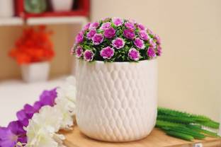 Bright Shop Plant Container Set Medium Size Cylinder Shape Flower Pot for Home,Balcony,Garden-Ceramic Plant Not Included .Planter Pot for both Indoor and Outdoor Plant Container Set