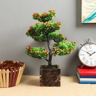 Flipkart Perfect Homes Five Branches Mini Tree with Hand Made Pot Bonsai Wild Artificial Plant  with Pot
