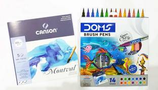 DOMS 14 Shade Brush Pen (Free 5 CANSON Sheet 17.5*17.5cm)