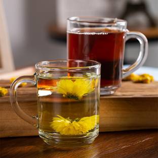 MANTRAA SALES Pack of 2 Glass cup