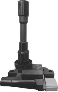Paanjo IGNITION COIL Ignition Coil