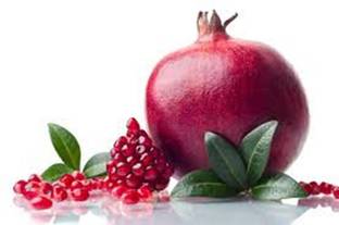 Crapulous All Climate Mega Combo Tree Seeds & Fruit Seeds- Non Hybrid- Real Survival Seeds. Annona reticulata(Custrad Apple) Punicagranatum(Pomegranate)Citrus X sinensis(Orange )Psidium guajava(Guava),Manilkara zapota(chiku) Seed