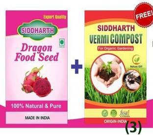 SIDDHARTH Dragon Fruit Seed Seed