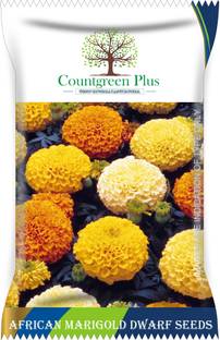 Countgreen Plus African Marigold Flower Seeds Seed