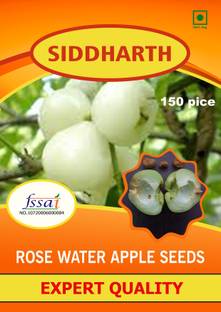 SIDDHARTH FISH FARM GREEN ROSE WATER APPLE Seed