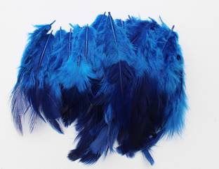 handymandy store Pack of 100 Decorative Feathers