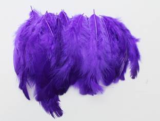 handymandy store Pack of 100 Decorative Feathers