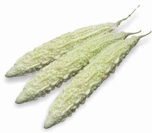 Airex Bitter Gourd White Long Seeds Pack Of 50 Seeds X 3 Packet Seed Price In India Buy Airex Bitter Gourd White Long Seeds Pack Of 50 Seeds X 3 Packet