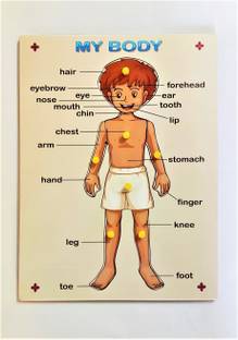 PETERS PENCE Human Body Parts For Kids Pre Primary Education