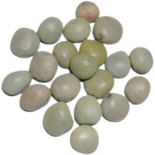 Epoojacart Gacha Kayalu- Fever Nut- Lata Karanj- Nicker Nuts- Letaguti Seed