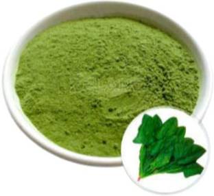 ORGANIC NATURE Dehydrated Spinach Powder (100 Grams)