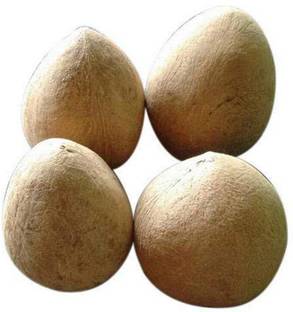 ORGANIC NATURE Dry Whole Coconut Coconut