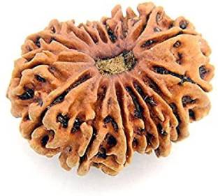 RATAN BAZAAR 16 Mukhi Rudraksha Beads Original and Natural Sixteen Faces Rudraksha Astrological Purpose Beads Wood