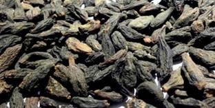Pusplata Choti Kali Harde Harad Seed Price In India Buy Pusplata Choti Kali Harde Harad Seed Online At Flipkart Com