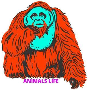 ANIMALS LIFE