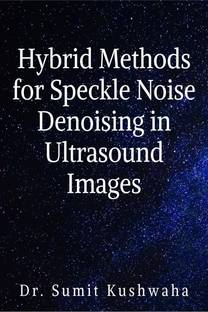 Hybrid Methods for Speckle Noise Denoising in Ultrasound Images