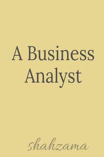 A Business Analyst