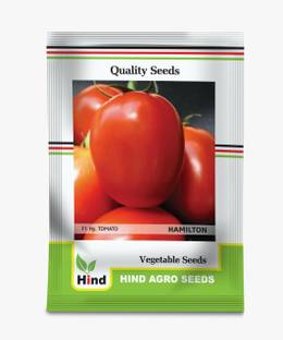 SINAL hybrid Tomato hamelton Seed