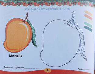 Mango Fruit Colouring Drawing Khata Book For Children's