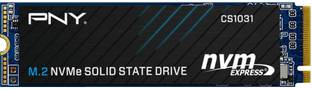 PNY NA 256 GB Laptop, Desktop Internal Solid State Drive (SSD) (CS1031 M.2)