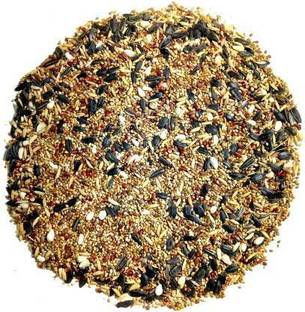 KG Creation Blue Bird Bird Feeder