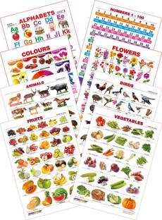Spectrum Kid's 1st Learning Charts [S] : Set 28 (English Alphabets, Numbers 1-100, Colours, Flowers, Animals, Birds, Fruits & Vegetables)
