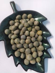 Garden Craft Sagargota ,Karanjwa, Caesalpinia Bonducella Seed