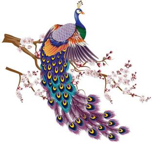 Asian Paints 59 cm Vibrant Peacock Vinyl Wall Sicker Removable Sticker