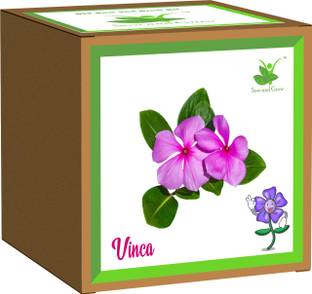 Sow and Grow Vinca Seed