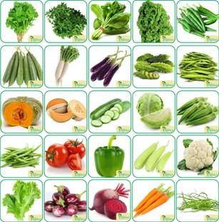 Agnico Agnico 25 Varieties of Vegetable 1700+ Seeds For Your Garden Beautiful Bloom High Germination Seeds with Instruction Manual Seed